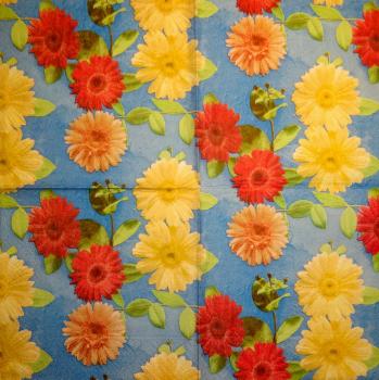 348 Daisies - 3-ply - CS
